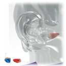 포낙보청기펄청각재활연구소 이미지