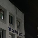 하모니카 초급 | (비교적) 자기계발..? 이것저것 싸게 하는 법