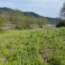 명당농장 이미지