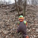 지혜숲유치원 이미지