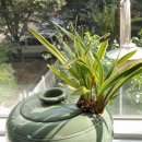 창가의 풍경 이미지