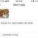 불촌두마리치킨 - 창원시 마산회원구 삼계10길 24 | 불촌두마리치킨