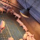 병용농장 이미지