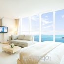 비발디파크오션월드 이미지