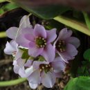 안이하우스 이미지