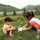 꿀등목장 이미지