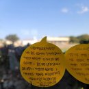 명월성 돌담집 이미지