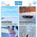 대관령톡톡 이미지