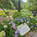 대천천누리길 화장실 이미지