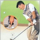 시너지골프 이미지