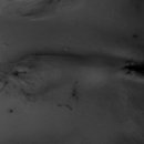 페토피아 동물병원 이미지