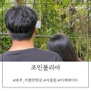 [파주 가볼만한곳] 조인폴리아 영업 시간부터 주차 근처 맛집까지 공유 (+ 방문 후기)