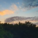 충우농장 이미지