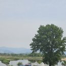 여울농장1 이미지