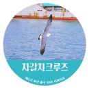 [부산 여행 데이트 코스] 부산 바다 위 특별한 선상여행! 자갈치크루즈 생생한 리뷰!