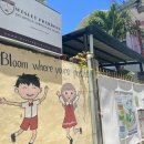 웨슬리 | 세부시티 현지 어린이집 / 유치원 :: 웨슬리 프림로즈 아카데미 Wesley Primrose Academy 상담후기