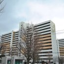 3차동부마트 이미지