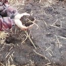 가화만사성농장 이미지