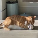 아임파인 이미지