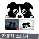 프리티 도그 이미지