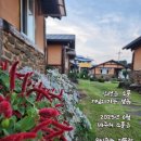 금앤옥통나무팬션 네이버블로그