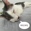일일이공 | 땅을 박 차 타타탁