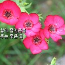 삶에 즐거움을 주는 좋은 글 ❤ 이미지