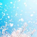 뜨락엔햇살 이미지