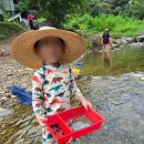 참빛자연농원민박 | [춘천촌캉스] 작년에 만족해서 또간집 "춘천운심농원"