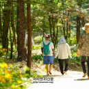 역사문화관광공원 쉼터 이미지