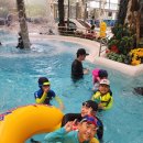 옥대초등학교 이미지