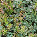 언덕산장 이미지