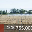 신현승내과의원 네이버블로그