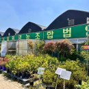 창원농산물영농조합법인 | 동창원식물원영농조합 ⎹ 식집사에게는 천국…! 분갈이 화훼단지 반려식물 꽃구경