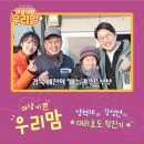 바늘과실 이미지