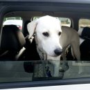 어서타개 이미지