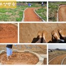 의료법인 사랑나무의료재단 이미지