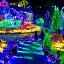 신탄리 자전거 대여소 이미지