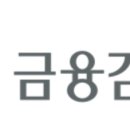 금융감독원 이미지