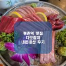 다보참치 이미지