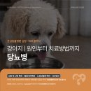 심동물병원 이미지