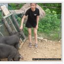 봉황의나라 고흥택견 전수관 이미지