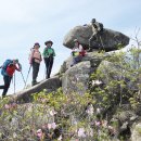 유동 마을회관 이미지