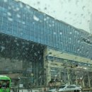 피카소 동물병원 이미지