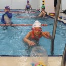 스윔 스타즈 이미지