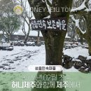 제주다정여행사 이미지