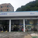 애니카랜드마평점