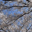 한얼유치원 이미지