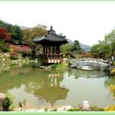 고요한 아침 이미지