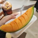 [6월초] 삿포로 2일차 비에이후라노 투어 절망편(패치워크길,청의호수,흰수염폭포,준페이,팜도미타)